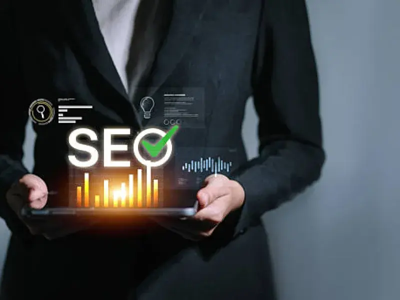 Professional Website SEO Audits process